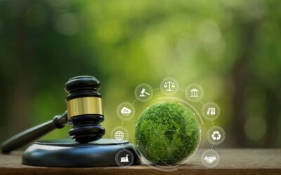 CSRD – Reporting